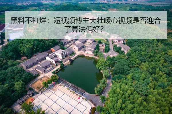 黑料不打烊：短视频博主大壮暖心视频是否迎合了算法偏好？